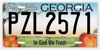 GA license plate PZL2571