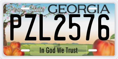 GA license plate PZL2576