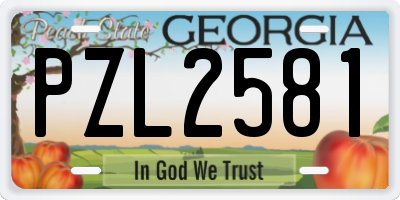 GA license plate PZL2581