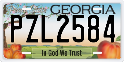 GA license plate PZL2584
