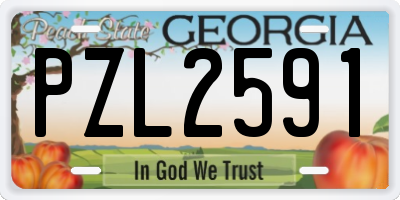 GA license plate PZL2591