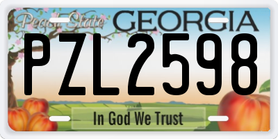 GA license plate PZL2598