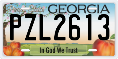 GA license plate PZL2613