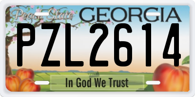 GA license plate PZL2614