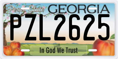 GA license plate PZL2625