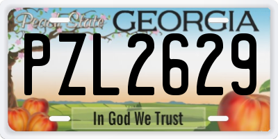 GA license plate PZL2629
