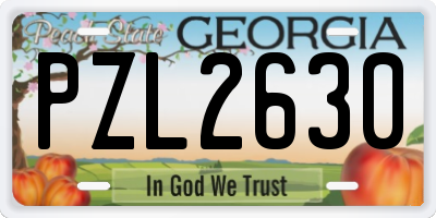 GA license plate PZL2630