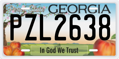 GA license plate PZL2638