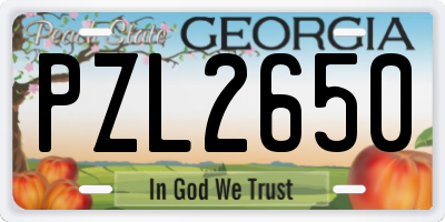 GA license plate PZL2650