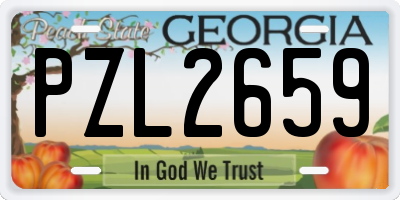 GA license plate PZL2659