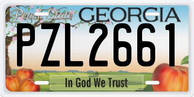 GA license plate PZL2661