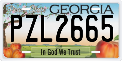 GA license plate PZL2665