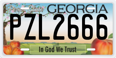 GA license plate PZL2666