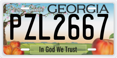 GA license plate PZL2667
