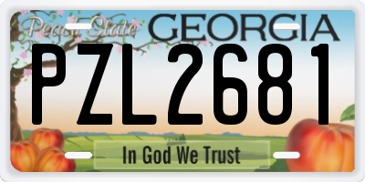 GA license plate PZL2681