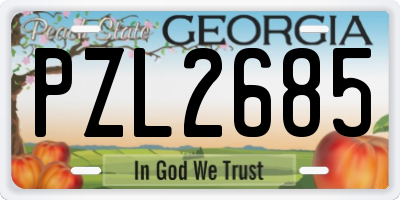 GA license plate PZL2685