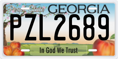 GA license plate PZL2689