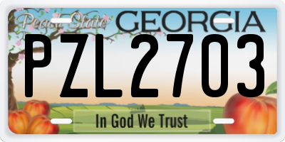 GA license plate PZL2703