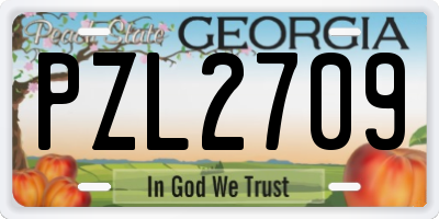 GA license plate PZL2709