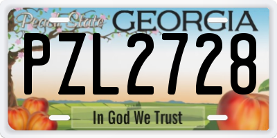 GA license plate PZL2728