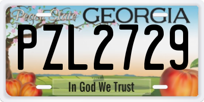 GA license plate PZL2729