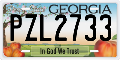 GA license plate PZL2733