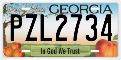 GA license plate PZL2734