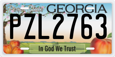 GA license plate PZL2763