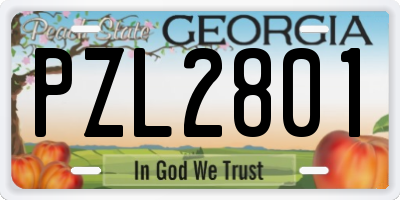 GA license plate PZL2801
