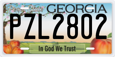GA license plate PZL2802