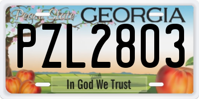 GA license plate PZL2803