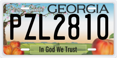 GA license plate PZL2810
