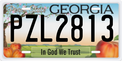 GA license plate PZL2813