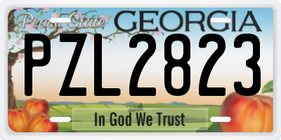 GA license plate PZL2823