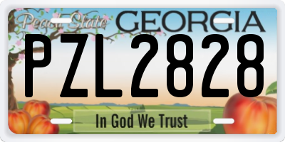 GA license plate PZL2828