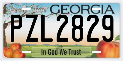 GA license plate PZL2829