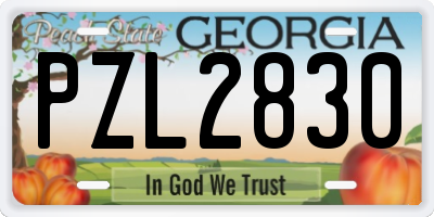 GA license plate PZL2830