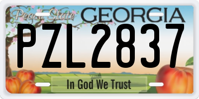 GA license plate PZL2837