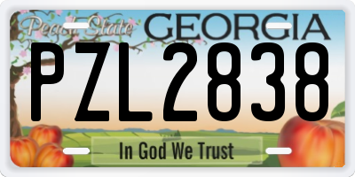 GA license plate PZL2838
