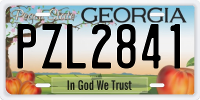 GA license plate PZL2841