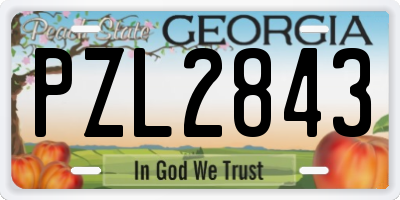 GA license plate PZL2843