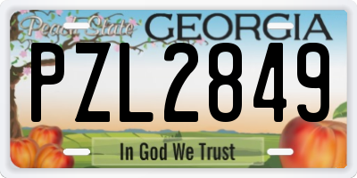 GA license plate PZL2849