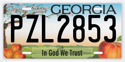 GA license plate PZL2853