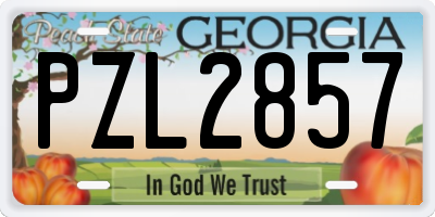 GA license plate PZL2857
