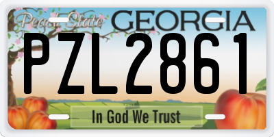 GA license plate PZL2861