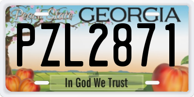 GA license plate PZL2871