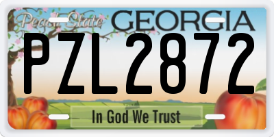 GA license plate PZL2872