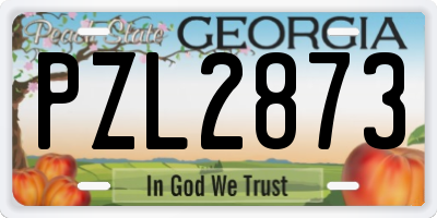 GA license plate PZL2873