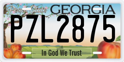 GA license plate PZL2875