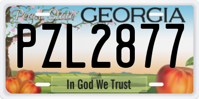 GA license plate PZL2877
